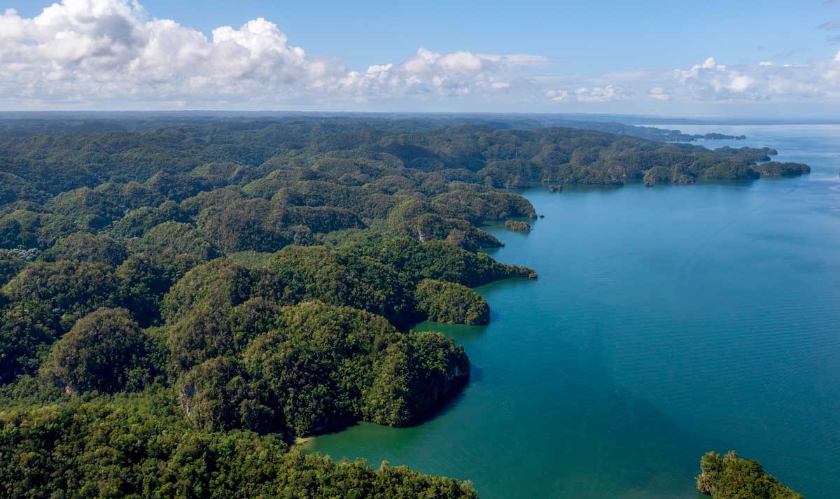 Dense wet forests on the coast of Los Haitises.