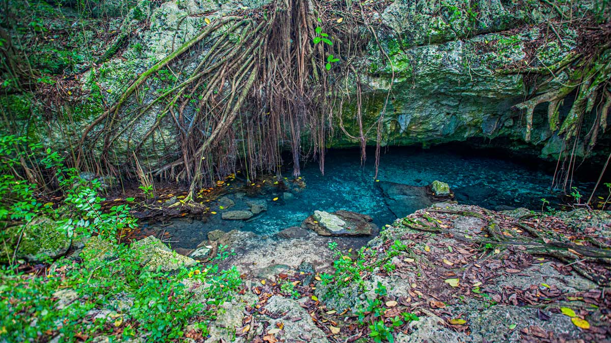 Fresh water Lagoon in Cotubanamá National Park.